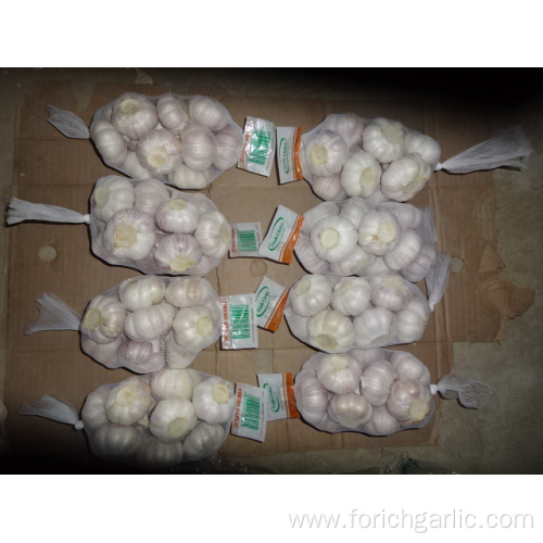 Normal White Garlic High Quality